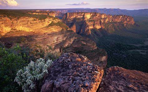 Trilha do Parque Nacional da Chapada dos Guimarães (MT) - Aventuras ao Ar Livre