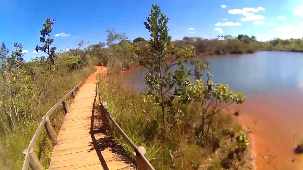 Trilha do Parque Nacional de Brasília (DF) - Aventuras ao Ar Livre